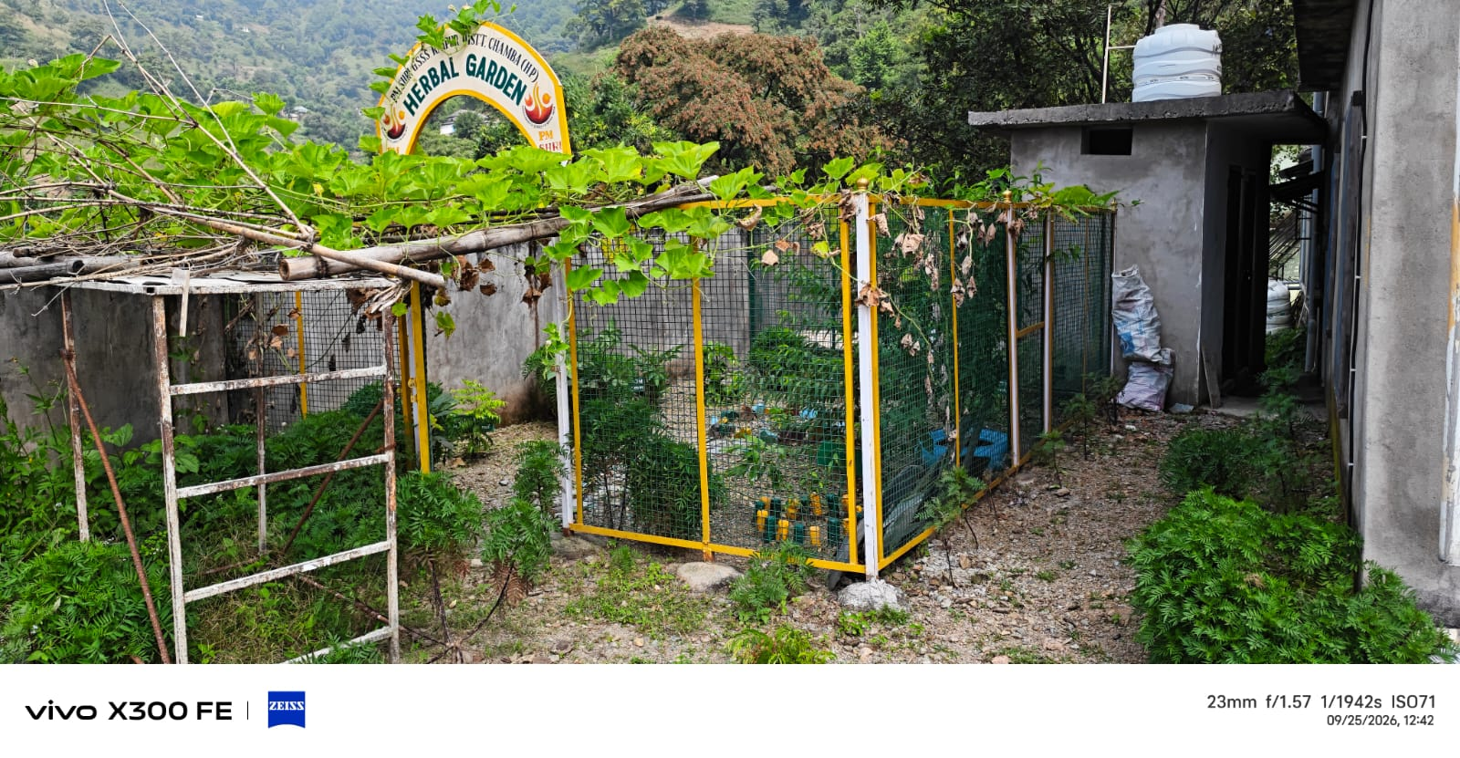 School Herbal Garden PM SHRI GSSS Raipur