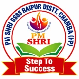 Government Senior Secondary School Raipur